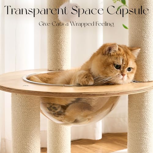 797Audio Modern Solid Wood Cat Tree Tower, 49" Tall Cat Tree with Sisal Scratching Posts for Adult Cats, Luxury Natural Oak Wooden Cat Tower,Aesthetic Multi-Level Cat Climbing Tree for Indoor Cat - color: 49 Inch-Scratch Ball