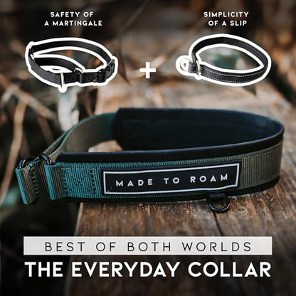 MADE TO ROAM Premium Everyday Dog Collar - Martingale Style No Pull Vegan Leather Collar, Heavy Duty and Lightweight for Small, Medium, Large Dogs (Arizona Heartbeat, Size 6) - color: Arizona Heartbeat, size: Size 6