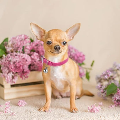Brown XXS Dog Collar with Bell Leather Puppy Collar with Bells Adjustable Buckle Kitten Cat Collars for XXSmall XS Tiny Little Extra Small Breed Pets Boys Girls Like Chihuahua, XX-Small - color: Brown, size: XX-Small (5-8 inches)