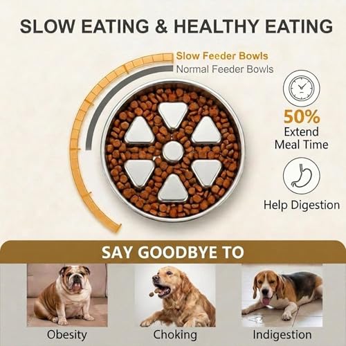 Kactoily Stainless Steel Slow Feeder Dog Bowl, 2.5-3 Cup Heavy Duty 304 Food-Grade Metal Maze Bowl, Non-Slip Base Slow Eating Feed Dish for Medium & Large Dogs