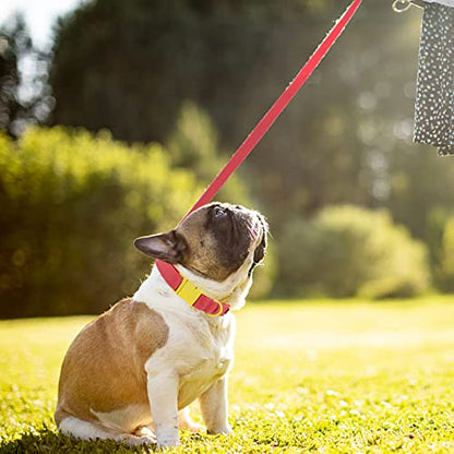 Maca Bates Dog Collar and Leash Set, Adjustable Solid Dog Collar and Leash for Small Medium Large Dog with Golden Metal Buckle - color: set-peach red, size: XS