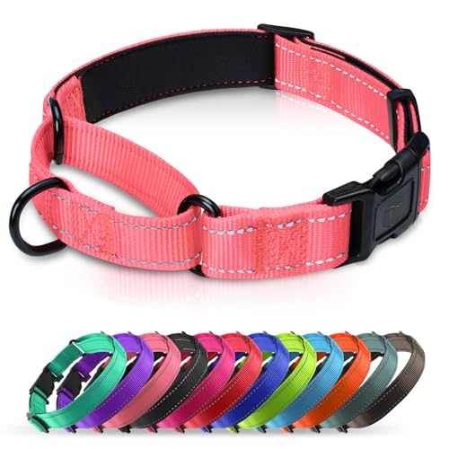 Martingale Collar for Dogs with Quick Release Buckle, Reflective Soft Padded & Escape Proof, Adjustable Nylon Dog Collars for Training & Daily Walking (Neon Pink,S) - color: Neon Pink, size: S:width 3/4"neck 12-14.5"