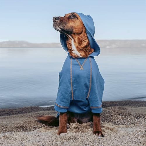 Blueberry Pet Hoodie – 14″ Soft Cotton-Blend Winter Sweatshirt, Alaskan Blue, Award-Winning Small-Dog Jersey - color: Dog Hoodie - Alaskan Blue, size: 14 inch (Pack of 1)