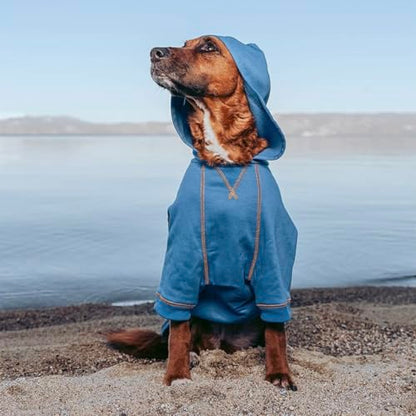 Blueberry Pet Hoodie – 14″ Soft Cotton-Blend Winter Sweatshirt, Alaskan Blue, Award-Winning Small-Dog Jersey - color: Dog Hoodie - Alaskan Blue, size: 14 inch (Pack of 1)