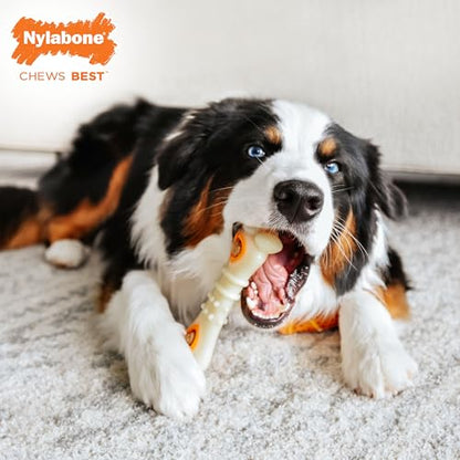 Nylabone Knuckle Bone Pop-In Treat Toy Power Chew Toy for Dogs, Interactive Treat Dispensing Enrichment Dog Toy, Long Lasting Chicken Flavor, Medium Dogs - Up to 35 lbs - size: Medium