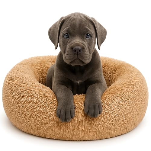 Calming Dog Bed - Fluffy Donut Cuddler for Anxiety Relief, Orthopedic Pet Bed with Non-Slip Bottom, Cozy Round Faux Fur Nest for Dogs and Cats, Plush Crate Mat for Comfort (Camel, Medium) - color: Camel, size: Medium
