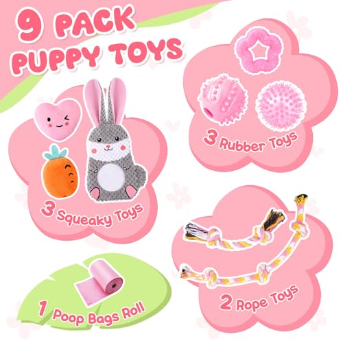 Zeaxuie Pink Puppy Toys for Teething - 9 Pack Small Dog Set With Chew, Squeaky Crinkle, Treat Ball and Interactive Rope for Puppies - color: 9 Pack (Pink-Bunny)
