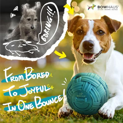 BOWHAUS Knitted Style Giggle Ball for Dog, 5.5 Inch Interactive Treat Dispensing Ball, Indestructible Fun Squeaky Dog Chew Exercise Toy, Non-Toxic Durable PVC Wobble Giggle Toy for Indoor Outdoor Play - style: Treat Ball - Knitted Style
