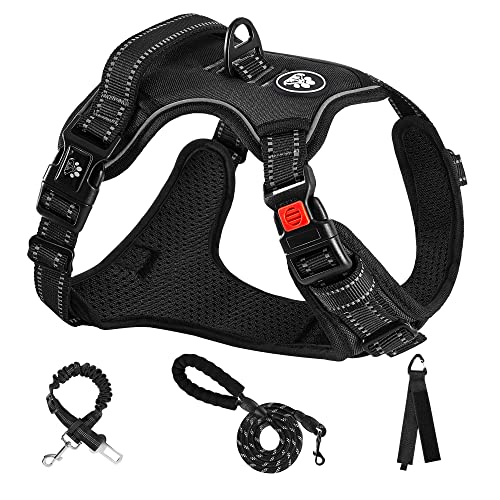 No Pull Dog Harness,Adjustable Oxford Dog Vest Harness with Leash,Reflective No-Choke Pet Harness with Easy Control Soft Handle for Small Dogs(X-Small,Black) - color: Black, size: 【XS】neck 10-11" chest 13-17"