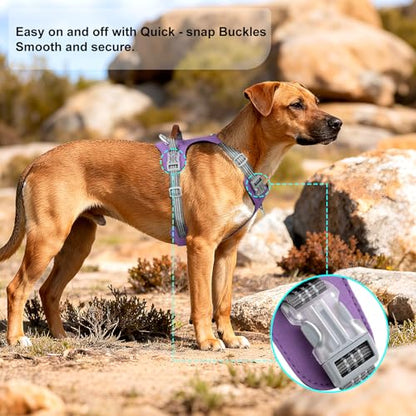 No Pull Dog Harness – Adjustable Reflective Nylon Vest for Small Medium Large Dogs, Escape Proof Training Harness with Leather Control Handle, Lightweight Aluminum Hardware (Purple, L) - color: Purple, size: L