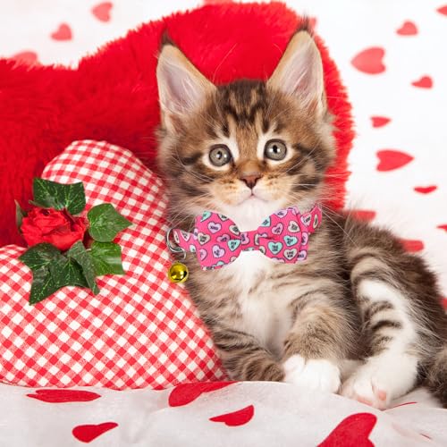 JarThenaAMCS 2Pcs Valentine Cat Collar Conversation Heart Bowtie Collar with Breakaway Bell Blue Pink Adjustable Kitten Collar for Girl Boy Cat Small Pet - style: Conversation Heart