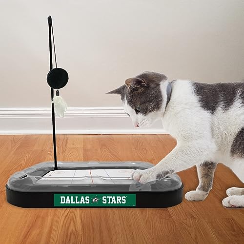 Pets First NHL Dallas Stars Hockey Field Scratching Cat Toy with Interactive Cat Ball Bell and Tracks - color: Dallas Stars