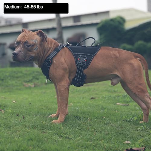 ICEFANG GN8 Tactical Dog Harness with 4X Metal Buckles for Medium Sized Dogs,Reflective in Training Walking K9 Vest,No-Pull Front Leash Clip,Adjustable Pet Harness (Black, Medium (Pack of 1)) - color: Black, size: Medium (Pack of 1)