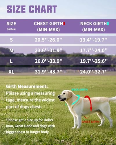 AUROTH Dog Harness and Leash Set, Soft Padded Service Dog Vest with 5.25FT Dog Leash, No Choke, Easy On Pet Vest, Adjustable Reflective No Pull Pet Vest Medium Sized Dog, Easy Walking and Training - color: Purple, size: Medium