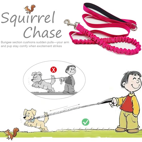 Bungee Dog Leash- 5FT Shock Absorbing & Reflective Nylon Leash | Anti-Pull Training for Small/Medium Dogs | 2cm Wide, 6 Colors (Pink) - color: Pink