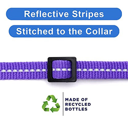 Pawtitas Recycled Purple Reflective Cat Collar – Eco-Friendly Breakaway Safety Buckle, Adjustable Kitten & Adult Collar with Removable Bell and High-Visibility Strap - color: Recycled Purple