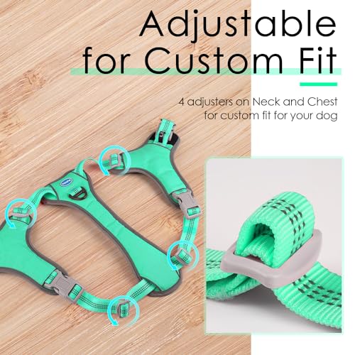 ThinkPet No-Pull Harness, Escape Proof Step-in Reflective Dog Vest Adjustable Breathable Halter Harness with Back/Front Clip for Better Control - color: Teal, size: Medium