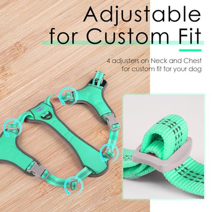 ThinkPet No-Pull Harness, Escape Proof Step-in Reflective Dog Vest Adjustable Breathable Halter Harness with Back/Front Clip for Better Control - color: Teal, size: Medium