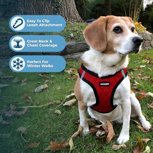 Best Pet Supplies Voyager Step-in Plush Dog Harness - Soft, Step in Vest Harness and Reflective Dog 5 ft Leash Combo with Neoprene Handle for Small and Medium Dogs, Red Plush, XL - color: Harness Leash Set (Red Plush), size: XL (Chest: 20.5 - 23")