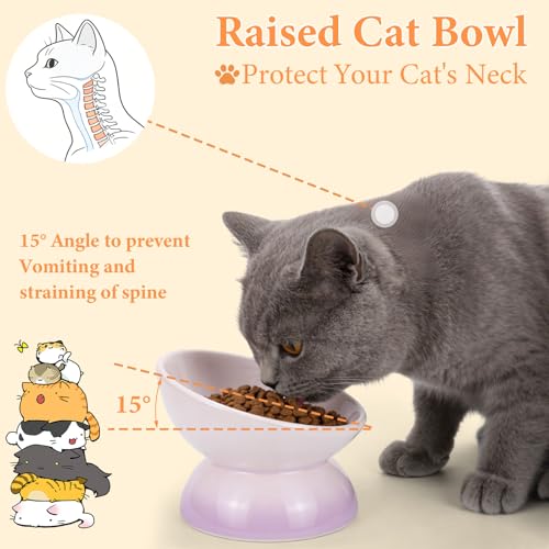 Elevated Cat Food Bowl 4 Pack 5 Oz Ceramic Raised Tilted Water Dishes, 15° Tilt Anti Vomiting, Protect Pets' Spines Bowls for Small Dog, Fat Faced Cat, Kitten