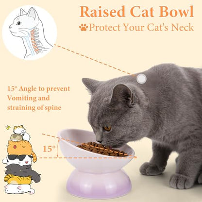 Elevated Cat Food Bowl 4 Pack 5 Oz Ceramic Raised Tilted Water Dishes, 15° Tilt Anti Vomiting, Protect Pets' Spines Bowls for Small Dog, Fat Faced Cat, Kitten