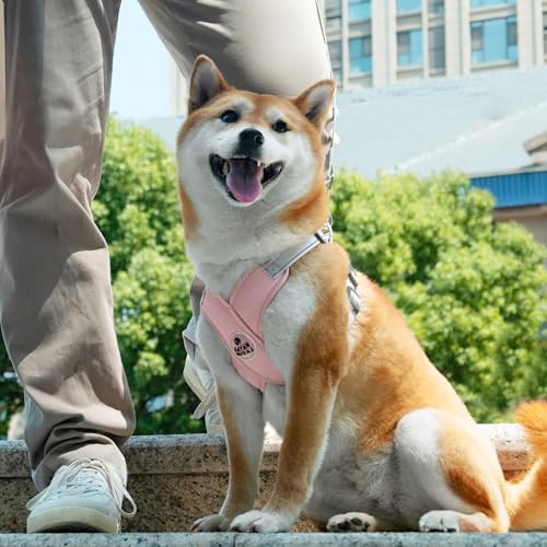 Dog Harness with Leash Set Adjustable Soft Padded Step-in Dog Vest No Choke No Pull Reflective for Small Pets with Poop Bags and Dispenser, Solid and No-chew, Pink XS - color: Pink, size: XS (Neck 16-19.1'' Chest 18.8-21.5'')