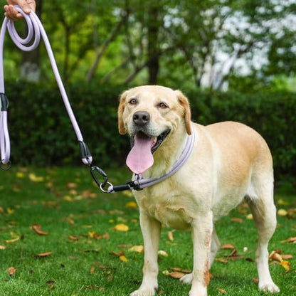 Rope Dog Leash, 4 ft Heavy Duty Dog Leash with Aviation Aluminum Auto Locking Carabiner, Strong Nylon Pet Lead for Small, Medium, Large Dogs (Purple, 4FT) - color: Purple, size: 4 Foot Single Handle