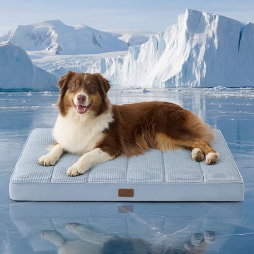 Bedsure Orthopedic Cooling Dog Bed Large Sized Dog - 36x27 Inches Large Comfy Breathable Summer Beds with Removable Washable Cover, Cold Flat Egg Crate Foam Pet Mat, Suitable for Pet Up to 50 lbs - color: Cooling Blue, size: 36"L x 27"W x 3"Th