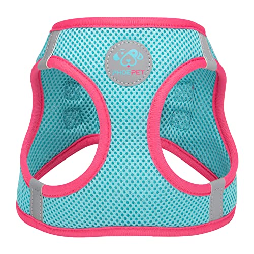 PHOEPET Step-in Dog Harness,Reflective Adjustable Dog Vest Harness, Soft Pet Walking Jacket with 2 Metal Leash Hooks for Dog and Cat(Mint Green Base & Pink Straps,XS) - color: Mint Green Base & Pink Straps, size: XS (Neck: 9-10”,Chest: 11.5-13”)