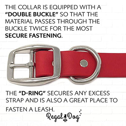Regal Dog Products Small Red Waterproof Dog Collars with Custom Engraved Name Plate | Vinyl Coated, Anti, Easy to Clean Personalized Biothane Dog Collar - Other Sizes for Medium & Large Dogs - color: Red, size: Small Collar