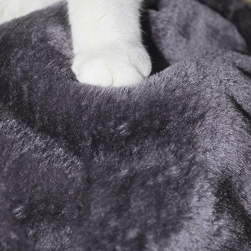 Small Cat Tree Tower for Indoor Use – Stable Condo with Scratching Post, Perch, Board, and Hideout for Kittens(Smoky Grey) - color: Smoky Grey