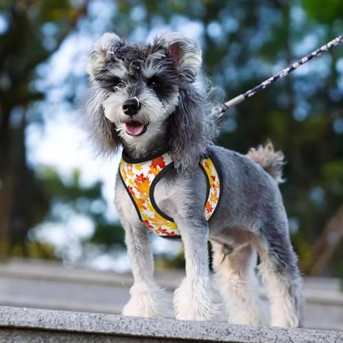 Maple Leaf Pet Harness Escape Proof Dog Harness Adjustable Mesh Padded Reflective Dog Vest Harness and Leash Set Small - color: Style 4, size: Small