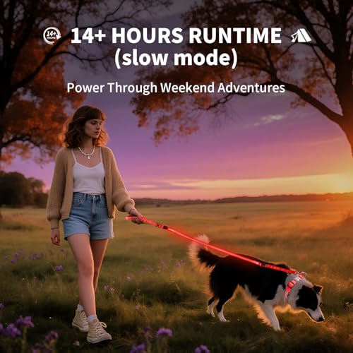 Night Walking LED Dog Leash - 6FT Reflective & Waterproof Light Up Safety Leashes for Dogs - USB Rechargeable, Red - color: Red(Fiber optic version)
