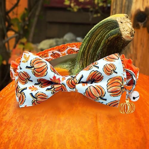 Fall Thanksgiving Harvest Cat Collar with Removable Bow Tie and Bell, Holiday Safety Breakaway Collar with Turkey and Pumpkin Spice Pattern for Boys and Girls Kitties Kittens - color: Thanksgiving Pumpkin