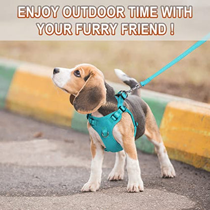 Dog Harness Step in Dog Vest Harness, Reflective Adjustable Puppy No Pull Harness Breathable Soft for Small and Medium Dogs Cats, Ocean Blue, XXS - color: Ocean Blue, size: XX-Small