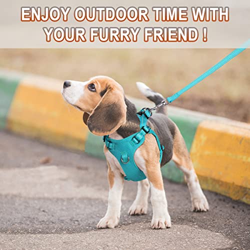 Dog Harness Step in Dog Vest Harness, Reflective Adjustable Puppy No Pull Harness Breathable Soft for Small and Medium Dogs Cats, Ocean Blue, XXS - color: Ocean Blue, size: XX-Small