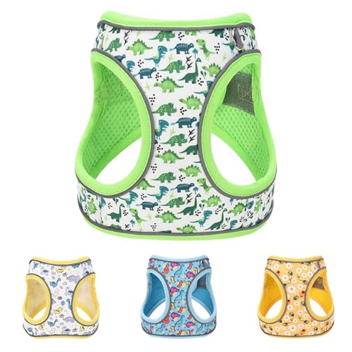 Step in Dog Harness No Pull Dinosaur Adjustable Soft Mesh Padded Reflective Pet Vest Harness and Leash Set for Small Medium Dogs - color: Blue, size: S(neck:10.5"-12",chest:13.5"-16")