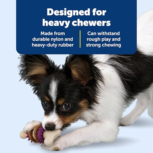 PetSafe Busy Buddy Bristle Bone Dog Chew Toy - Treat Holding Toothbrush Toy for Hard Chewers - Helps Keep Your Dog's Teeth Clean - Durable, Interactive - Purple, Small - size: Small, style: Bristle Bone