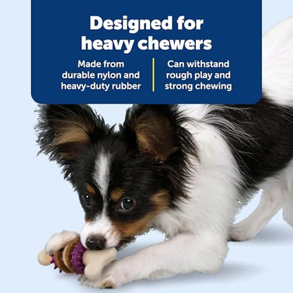 PetSafe Busy Buddy Bristle Bone Dog Chew Toy - Treat Holding Toothbrush Toy for Hard Chewers - Helps Keep Your Dog's Teeth Clean - Durable, Interactive - Purple, Small - size: Small, style: Bristle Bone