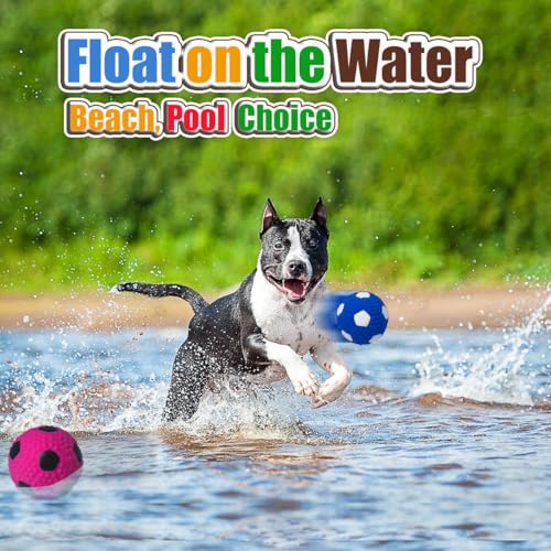 HOLYSTEED Squeaky Dog Toys for Medium Dogs 4pcs, 2.6 Inch Latex Squeak Dog Balls - Soft Bouncy Fetch & Chew Toys for Medium and Large Breeds Like Beagle, Border Collie, Samoyed, Husky, Labrador - size: 2.6'' for M/L