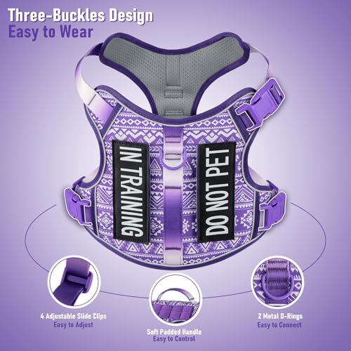 AUNZO Dog Harness for X-Small Dog Breed, Light Pet Vest Harness with 2 Leash Clips and 3 Buckles, Easy to Wear, Adjustable Reflective Soft Padded, Boston Terrier, Beagle, Poodles, XS - color: Purple Ethnic, size: Extra Small