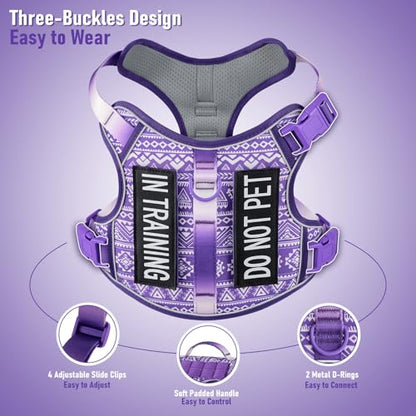 AUNZO Dog Harness for X-Small Dog Breed, Light Pet Vest Harness with 2 Leash Clips and 3 Buckles, Easy to Wear, Adjustable Reflective Soft Padded, Boston Terrier, Beagle, Poodles, XS - color: Purple Ethnic, size: Extra Small