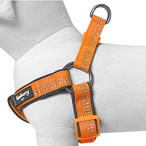 Blueberry Pet Soft & Comfy 3M Reflective Step-in Pastel Color Padded Dog Harness, Chest Girth 26" - 39", Orange Peel, Large, Adjustable Harnesses for Dogs