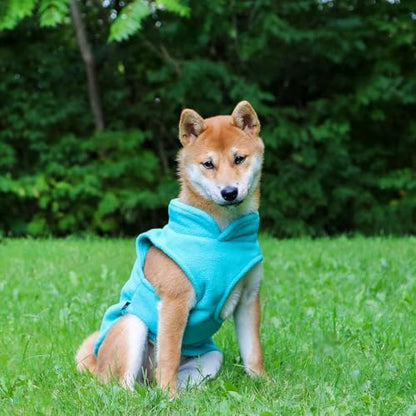 JACKO & CO - Fleece Vest Dog Sweater with Leash Ring - Soft, Warm & Lightweight Pullover Coat for Small & Medium Dogs, Puppies & Cats - Cozy Fall/Winter/Spring Pet Jacket (Turquoise, X-Small 2-4lbs) - color: Turquoise, size: XS (2-4lbs)