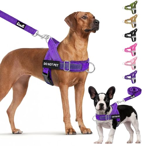 Lukovee No Pull Dog Harness and Leash Set - Heavy Duty Dog Vest with Soft Velvet Padding for Medium Large Dogs, Adjustable Reflective Tactical Harness with 2 Control Handles & Front Clip (S, PU) - color: Purple, size: Small