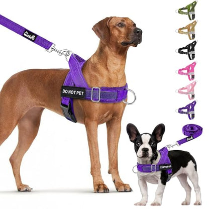 Lukovee No Pull Dog Harness and Leash Set - Heavy Duty Dog Vest with Soft Velvet Padding for Medium Large Dogs, Adjustable Reflective Tactical Harness with 2 Control Handles & Front Clip (L, PU) - color: Purple, size: Large