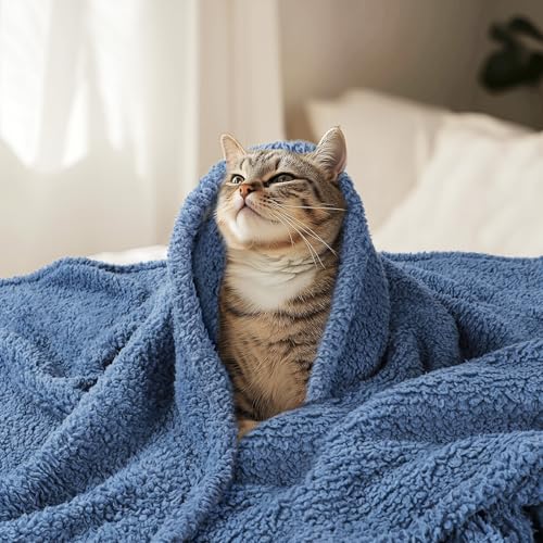 Luciphia Premium Fleece Dog Puppy Blanket Soft Pet Sherpa Calming Cat Blankets Throw for Small Medium Dog Cat(Haze Blue,57x40 inches) - color: Haze Blue, size: 57x40 inches