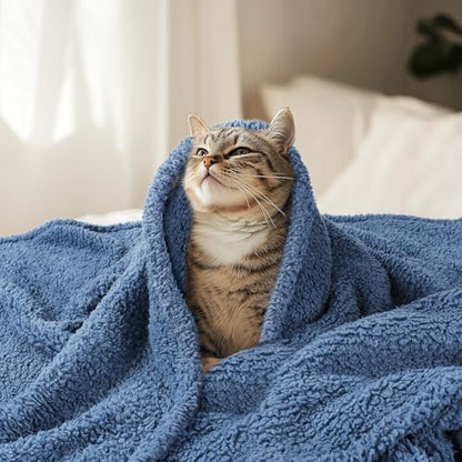 Luciphia Premium Fleece Dog Puppy Blanket Soft Pet Sherpa Calming Cat Blankets Throw for Small Medium Dog Cat(Haze Blue,41x31 inches) - color: Haze Blue, size: 41x31 inches