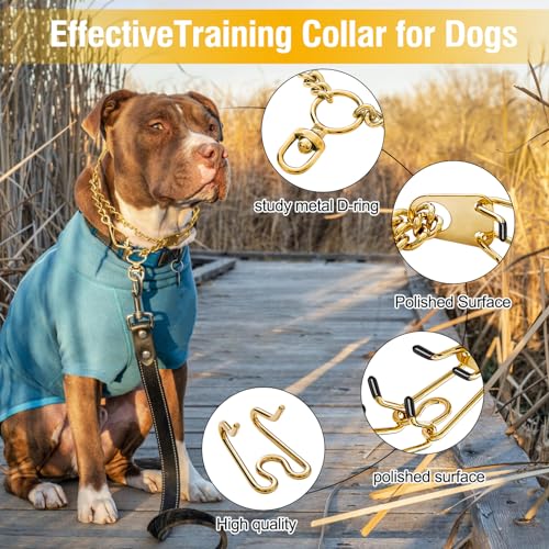 Dog Pinch Collar Stainless Steel,Gold Prong Dog Training Collar,No Pull Martingale Collar Stainless Steel Metal Chain Collar,Adjustable Size Collar for Medium and Large Dogs (M, Gold) - size: M