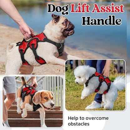 rabbitgoo Escape Proof Dog Harness, Soft Padded Full Body Pet Harness, Reflective Adjustable No Pull Vest with Lift Handle and Leash Clip for Large Dogs Walking Hiking Training, S, Red - color: Red, size: Small (Pack of 1)